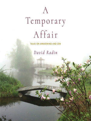 cover image of A Temporary Affair